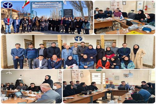 برگزاری نشست هم‌اندیشی از پیشگیری تا پاسخ طغیان تب دنگی