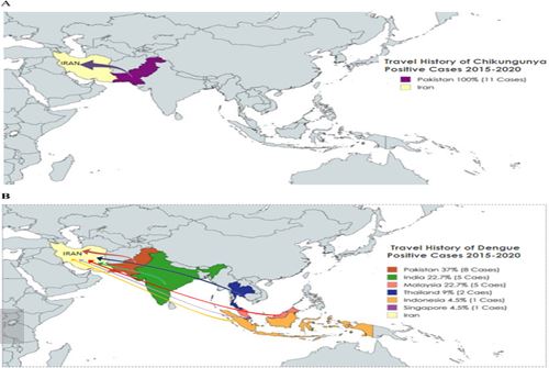 شواهدی از ورود ویروس‌های تب دانگ و چیکونگونیا در میان مسافران تب‌دار واردشده به ایران از کشورهای مختلف